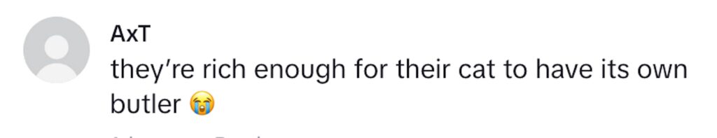 Social media comment on the post of A Covent Garden job ad offering £65 an hour to care for a pampered cat has gone viral, with quirky duties like playing classical music and shopping at Harrods.