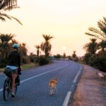A stray dog ran 100km alongside two cyclists in Morocco and won their hearts. Four months and £1,500 later, Hara the dog has joined them for a new life in the UK.