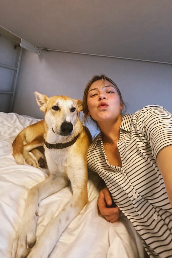 A stray dog ran 100km alongside two cyclists in Morocco and won their hearts. Four months and £1,500 later, Hara the dog has joined them for a new life in the UK.