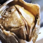 Deep sea fisherman Roman Fedortsov reveals bizarre and alien-like ocean creatures, from lumpfish to blobfish, offering a rare glimpse into the ocean’s strangest species.