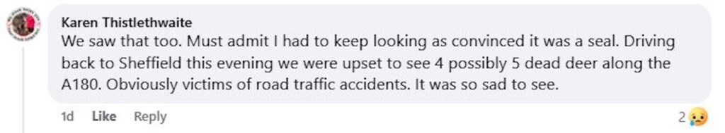 Social media comment on the post of A seal rescue in Cleethorpes turned comical when volunteers found the distressed animal was actually a seal-shaped rock - now nicknamed Dwayne by amused rescuers.