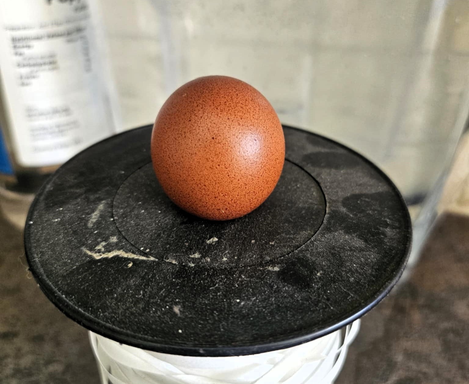 A family near St Austell discovered a one-in-a-billion perfectly round egg laid by their chicken Julie, sparking laughter and plans to possibly auction the rare find.