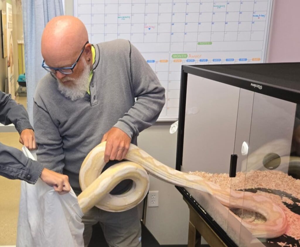 A 9ft reticulated python named Sir Hiss-a-Lot was found in an Iowa family's yard and safely rehomed after rescue, as it’s illegal to keep such snakes as pets in the state.