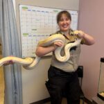 A 9ft reticulated python named Sir Hiss-a-Lot was found in an Iowa family's yard and safely rehomed after rescue, as it’s illegal to keep such snakes as pets in the state.