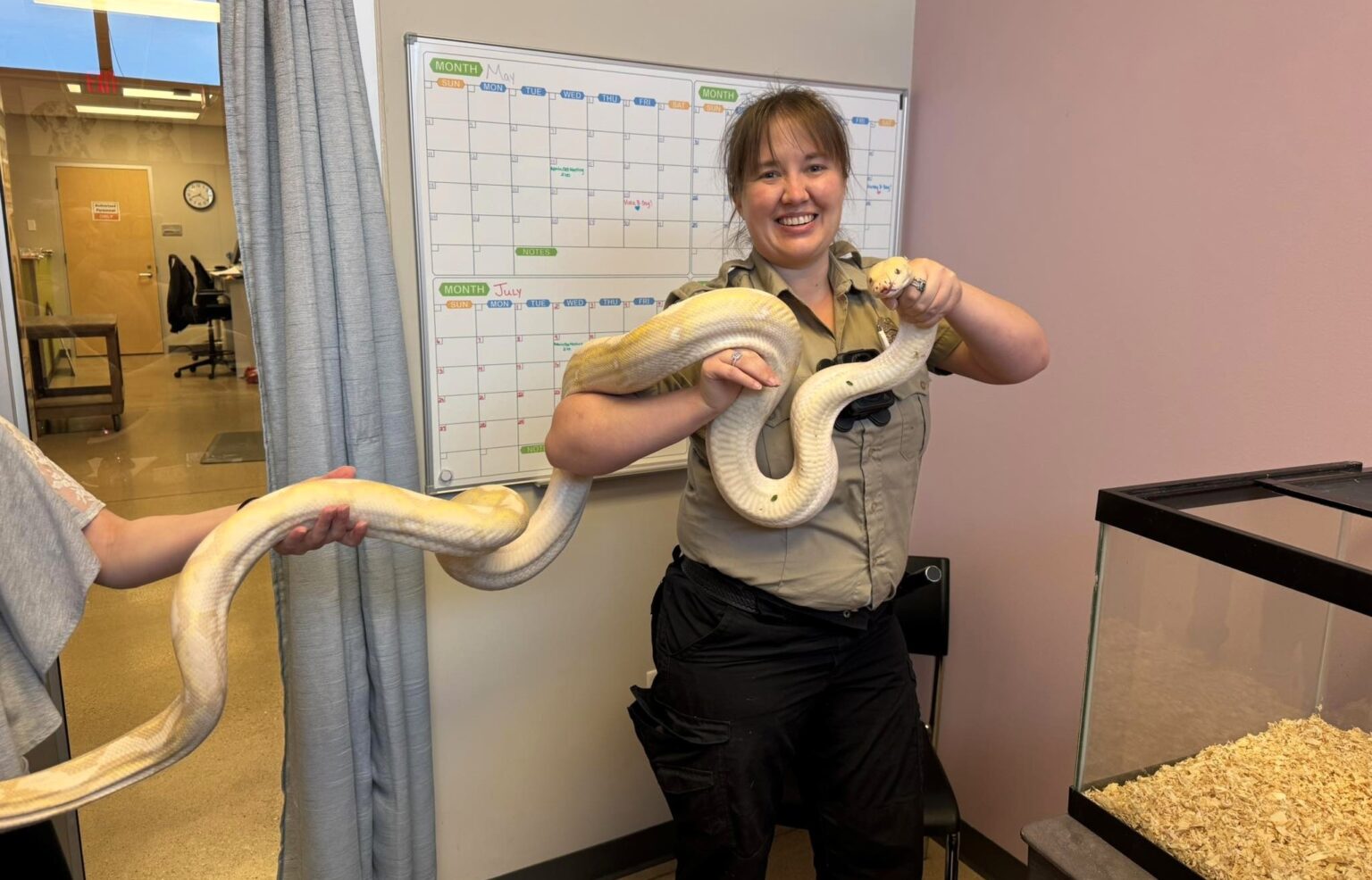 A 9ft reticulated python named Sir Hiss-a-Lot was found in an Iowa family's yard and safely rehomed after rescue, as it’s illegal to keep such snakes as pets in the state.