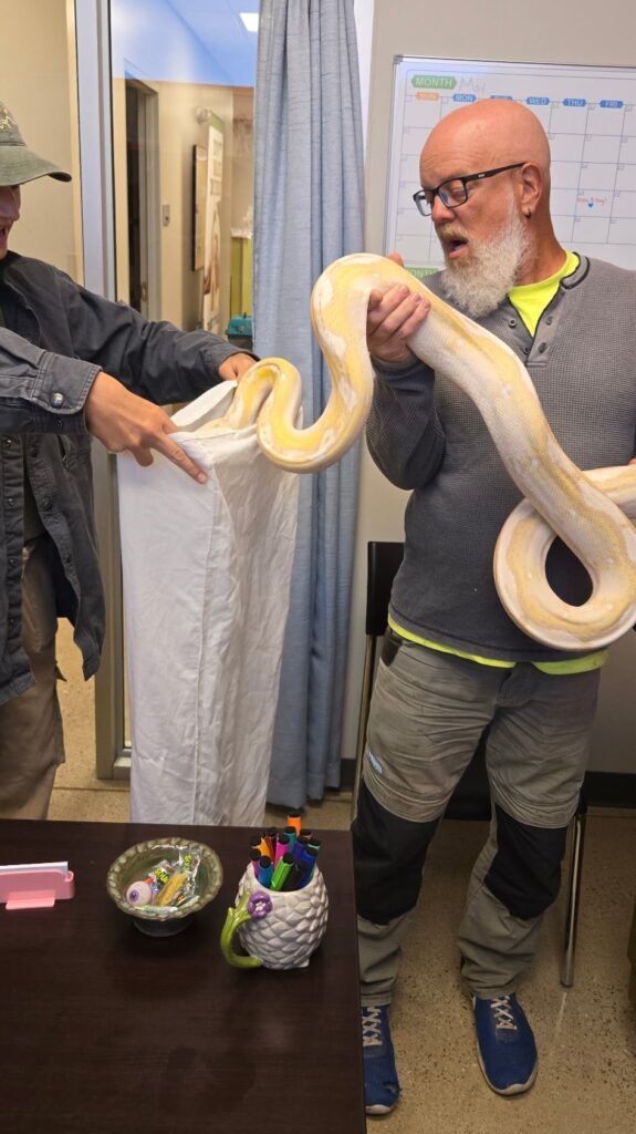 A 9ft reticulated python named Sir Hiss-a-Lot was found in an Iowa family's yard and safely rehomed after rescue, as it’s illegal to keep such snakes as pets in the state.