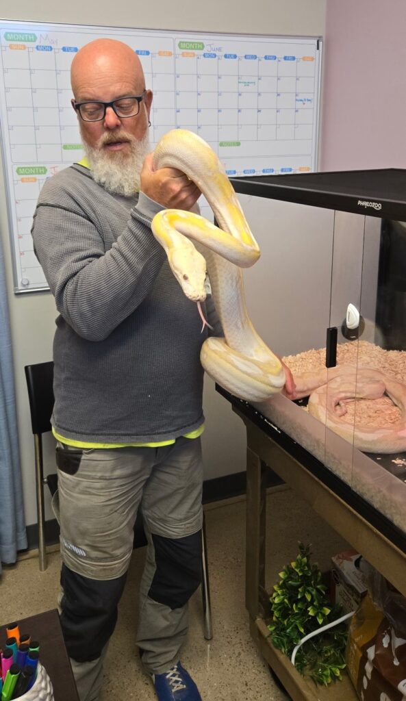 A 9ft reticulated python named Sir Hiss-a-Lot was found in an Iowa family's yard and safely rehomed after rescue, as it’s illegal to keep such snakes as pets in the state.