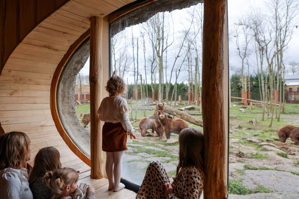 Belgium’s Pairi Daiza resort lets guests sleep beside walruses, penguins, and polar bears with glass walls into their habitats - rooms start at £94 and run year-round.