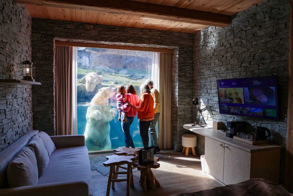 Belgium’s Pairi Daiza resort lets guests sleep beside walruses, penguins, and polar bears with glass walls into their habitats - rooms start at £94 and run year-round.