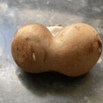 Mum finds mushroom in Aldi pack that looks like Kim Kardashian's famous bum while cooking for her kids - calls it a hilarious surprise and a bargain at just 46p