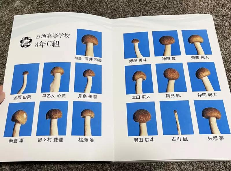 Doctor finds whole enoki mushroom in patient's colon during scan - warns to chew properly as tough chitin cell walls make it pass undigested, earning nickname 'see you tomorrow'.