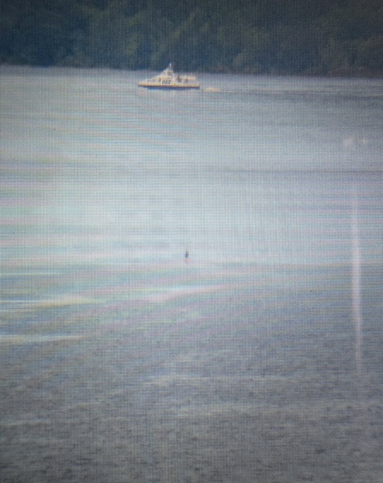 A mysterious object spotted on Loch Ness vanished without a trace, sparking new hopes it was Nessie as a tourist claims it appeared green and up to six feet tall.