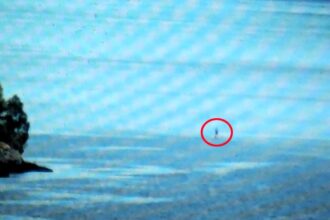 A mysterious object spotted on Loch Ness vanished without a trace, sparking new hopes it was Nessie as a tourist claims it appeared green and up to six feet tall.