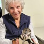 Humboldt penguins visited a Grantham care home, delighting residents with cuddles and waddles as part of a unique enrichment experience by Amazing Animals.