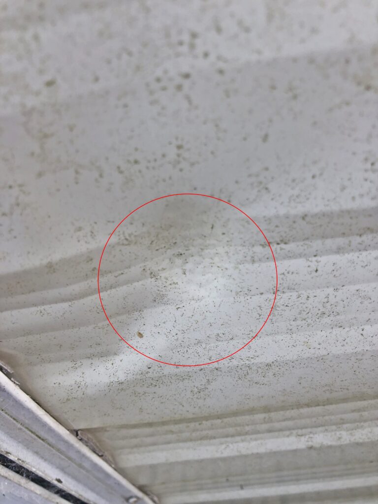 Residents near Lydd Golf Club in Kent claim stray balls are damaging homes and forcing them indoors, while the club insists safety measures are in place and concerns are addressed.