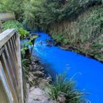 Locals were baffled after the River Dean in Bollington turned electric blue, prompting environmental concerns. The source was found, but officials haven’t disclosed the cause.