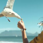 The Cheesy Toast Shack in St Andrews raised £3,263 for charity through its £1 seagull insurance, offering meal replacements if birds snatch food from customers.