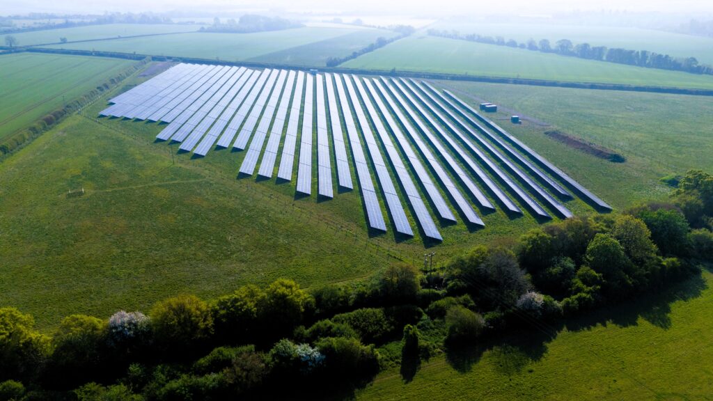 Blenheim Palace, Winston Churchill’s birthplace, now powers over 2,200 homes with its new 7MW solar park, supporting its goal to reach Net Zero by 2027 while boosting biodiversity.