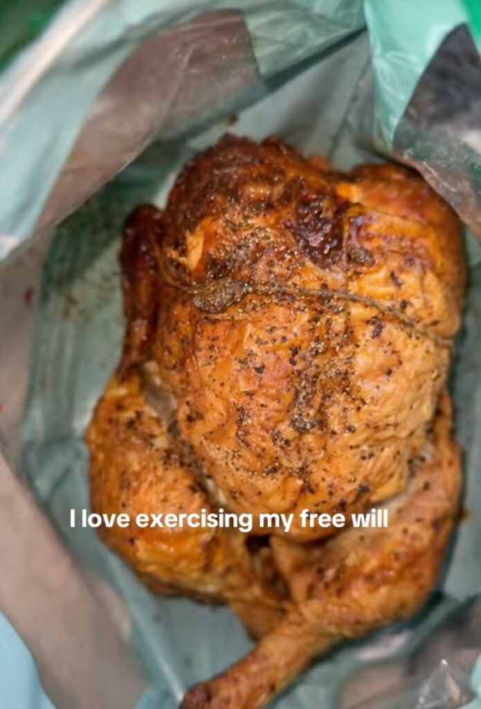Chloe Gray stunned fellow flyers by bringing a rotisserie chicken on board as hand luggage, calling it her “designer bag” and a savvy, healthy alternative to plane food.