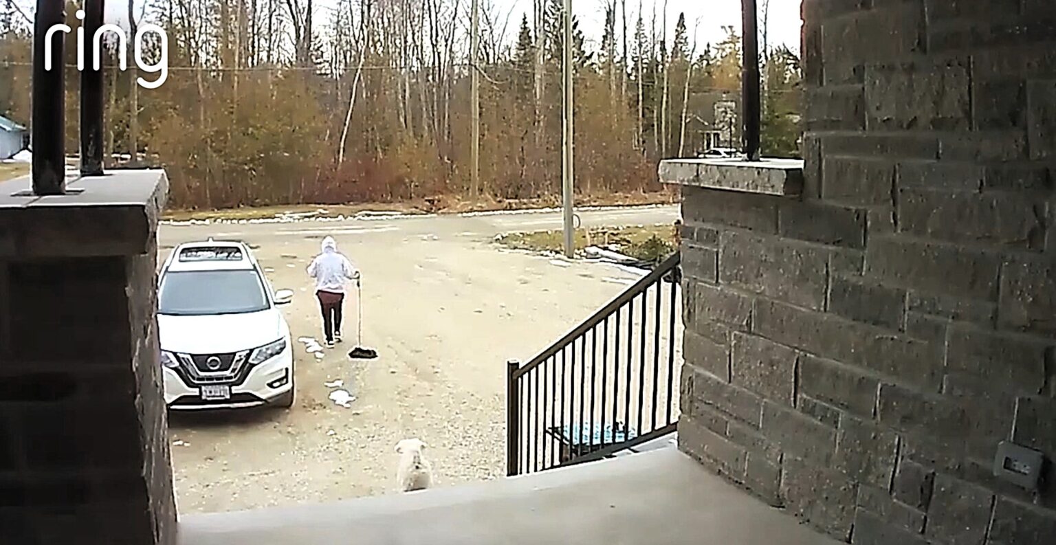 Man unknowingly walks empty leash after dog slips harness at doorstep - hilarious doorbell footage shows Brody patiently waiting while Michael crosses the street clueless.