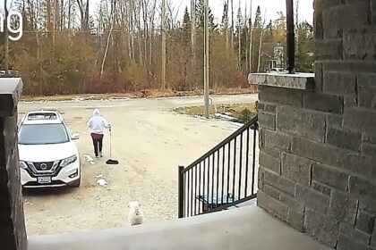 Man unknowingly walks empty leash after dog slips harness at doorstep - hilarious doorbell footage shows Brody patiently waiting while Michael crosses the street clueless.