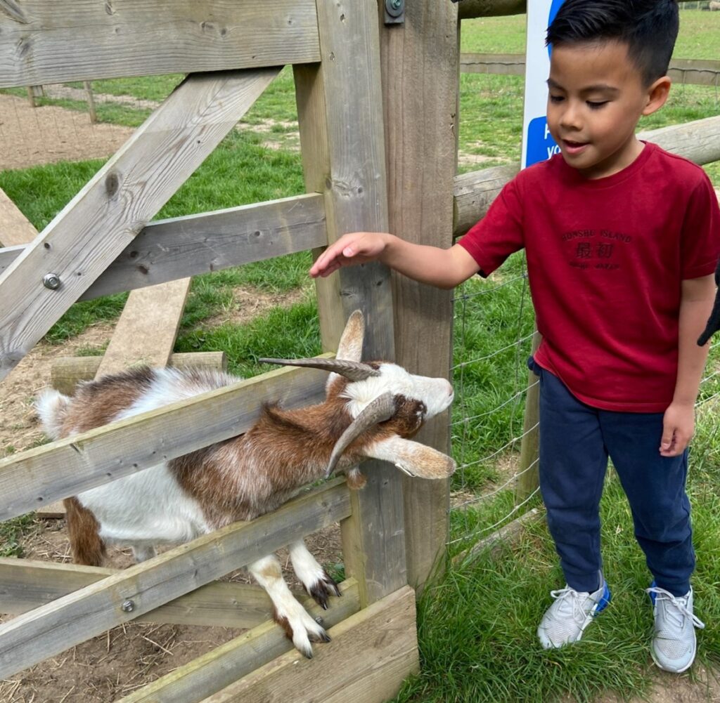 A mum who left London for rural Kent says countryside life boosted her mental health, saved £500 a month and brought peace and space despite some loneliness.