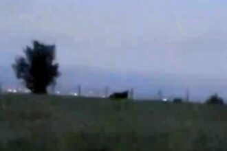 Big cat fears in Lancashire as mystery beast with long tail filmed near Blackburn - spotted by stunned driver near 4ft fence on West Pennine Moors at dusk.