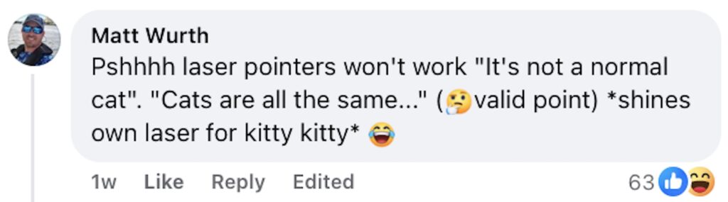 Social media comment on the post of A bobcat broke into a Colorado home and ignored officers’ attempts to lure it out with a laser pointer. The unimpressed wildcat left on its own, unfazed by the tactic.