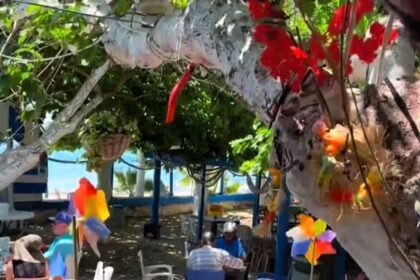 Brit tourist raves over Cyprus beach bar with £2.50 pints, sea views and a friendly pig - calls Riccos in Paphos a must-see gem for visitors to the island.