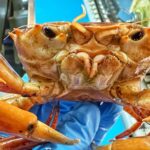 A fisherman’s orange crab find is going viral for its uncanny resemblance to Donald Trump, complete with a pouty face and bright hue, leaving social media in stitches.