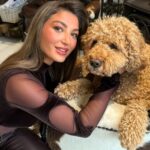 Claudia Snell staged a fake burglary to test her dogs’ loyalty, but Ozzy and Bear ignored her screams - choosing tuna and naps over heroics in the viral prank.