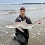 A rare tope shark, listed as critically endangered, was caught and released by a fisherman off Swansea beach, sparking hope for rising numbers or shifting food sources.