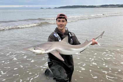 A rare tope shark, listed as critically endangered, was caught and released by a fisherman off Swansea beach, sparking hope for rising numbers or shifting food sources.