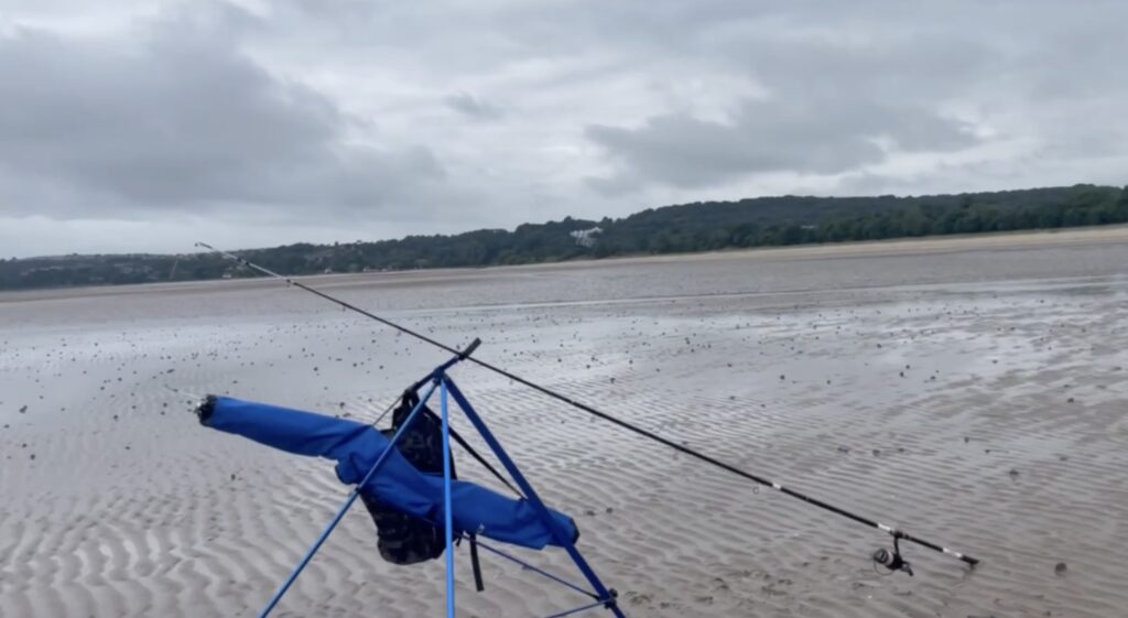 A rare tope shark, listed as critically endangered, was caught and released by a fisherman off Swansea beach, sparking hope for rising numbers or shifting food sources.