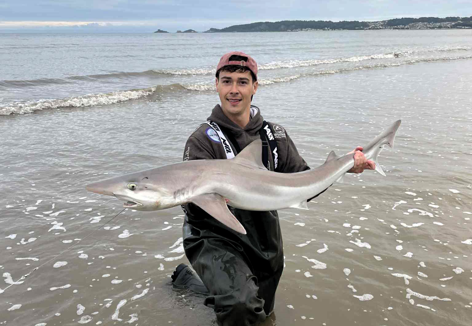 A rare tope shark, listed as critically endangered, was caught and released by a fisherman off Swansea beach, sparking hope for rising numbers or shifting food sources.