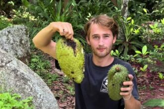 Gen Z ditch uni for jungle life - 22-year-old builds off-grid cabin in Colombia with YouTube help, grows avocados and chases self-sufficiency and true freedom.