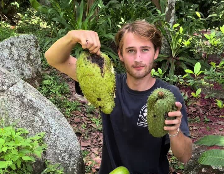 Gen Z ditch uni for jungle life - 22-year-old builds off-grid cabin in Colombia with YouTube help, grows avocados and chases self-sufficiency and true freedom.
