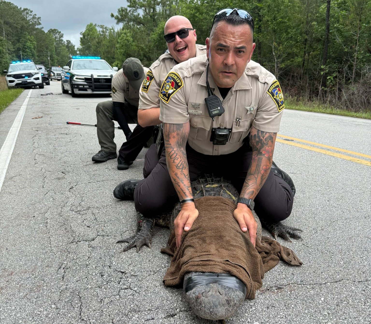 10ft gator dubbed Pepe ‘arrested’ in North Carolina for sunbathing on road - deputies joke about ‘dino without papers’ as traffic-stopping reptile gets relocated.