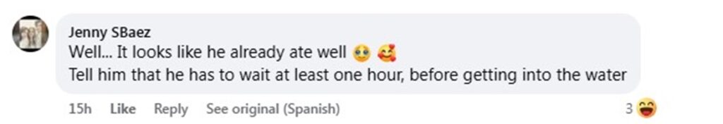 Social media comment on the post of Crocodile strolls across Puerto Vallarta beach in Mexico and swims into sea, stunning tourists as habitat loss drives wildlife into urban areas near the Pitillal River.