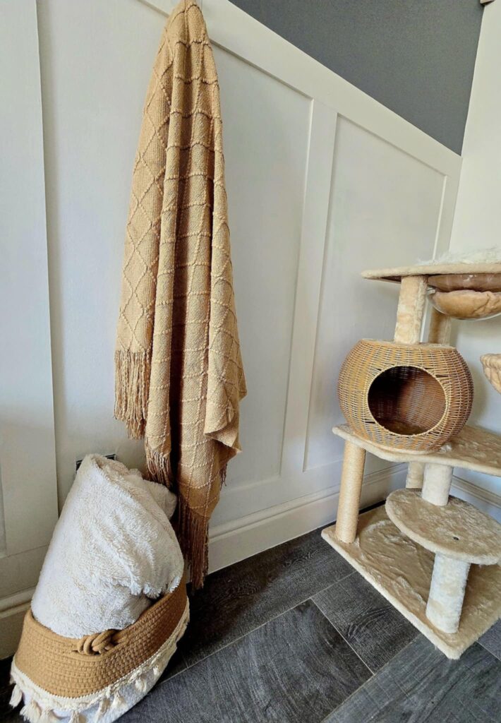 A mum transformed her Cardiff home for just £269 using only Shein items, stunning friends with her chic, budget-friendly décor and proving style doesn't have to cost a fortune.