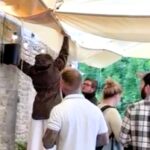 Jeremy Clarkson’s £40k pub umbrellas at The Farmer’s Dog backfired as rain pooled and poured onto decking, leaving staff scrambling and visitors amused by the mishap.