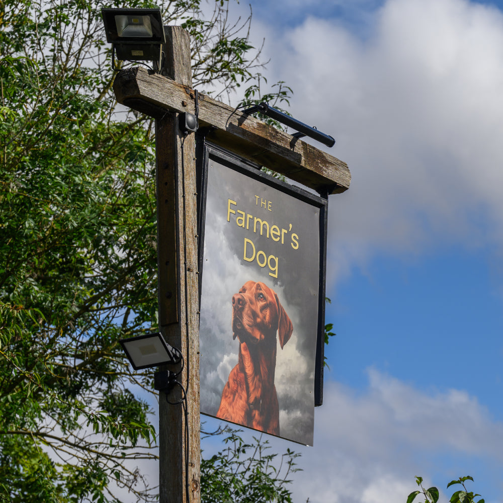 Jeremy Clarkson’s £40k pub umbrellas at The Farmer’s Dog backfired as rain pooled and poured onto decking, leaving staff scrambling and visitors amused by the mishap.