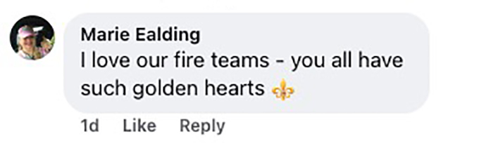 Social media comment on the post of Firefighters rescue trapped fawn from metal fence in Southampton using hydraulic gear before reuniting it with its waiting mother in a heartwarming moment.
