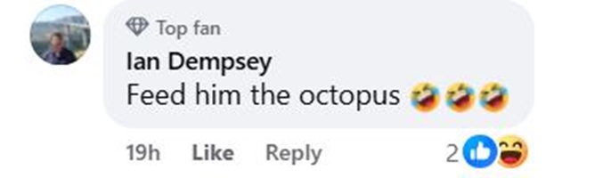 Social media comment on the post of Cornwall fisherman faces off with giant gull tapping on boat window - but says octopus invasion is bigger threat as they wipe out future lobster stocks.