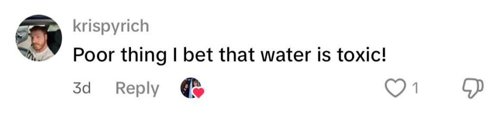 Social media comment on the post of A surprised George Shelley spotted a lone seal swimming near Tower Bridge in the Thames - ZSL urges sightings be reported to help monitor and protect river wildlife.