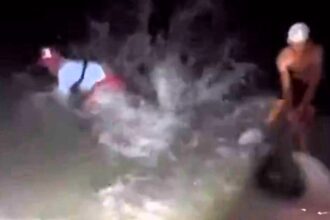 A man was hilariously "baptised" by a hammerhead shark after freeing it from a hook, getting knocked into the sea by its thrashing tail near Marco Island, Florida.