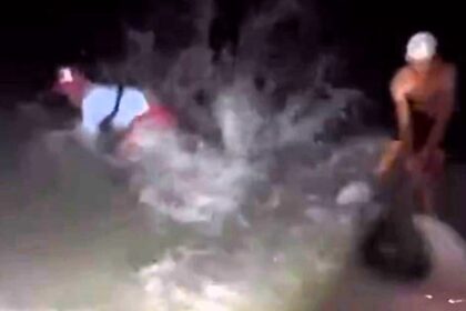 A man was hilariously "baptised" by a hammerhead shark after freeing it from a hook, getting knocked into the sea by its thrashing tail near Marco Island, Florida.