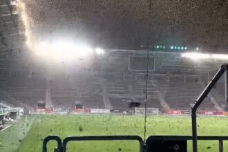 Millions of moths swarm Romanian stadiums during UEFA U-19 Championship - fans flee and players shocked as sudden insect invasion blamed on heat and rainfall.