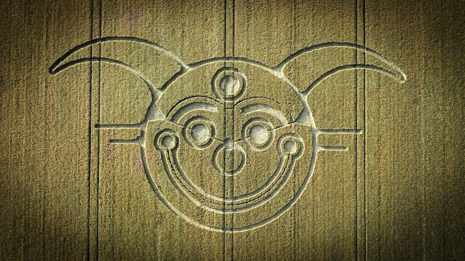 A mysterious crop circle featuring a joker face has appeared near Stonehenge, stunning experts with its unique design just yards from the iconic Wiltshire monument.