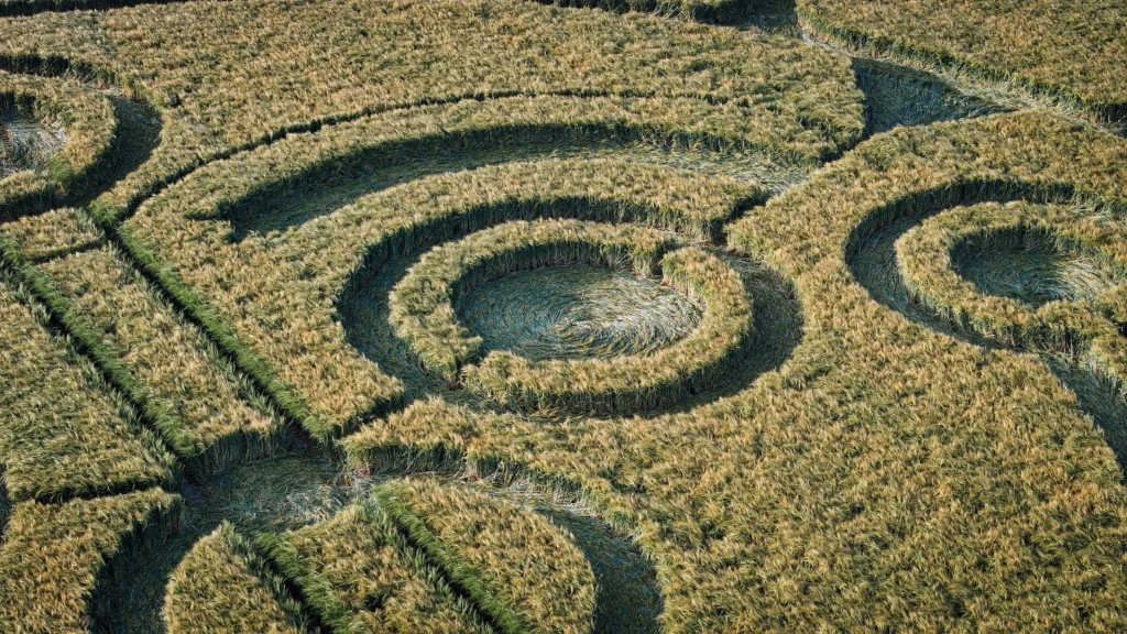 A mysterious crop circle featuring a joker face has appeared near Stonehenge, stunning experts with its unique design just yards from the iconic Wiltshire monument.
